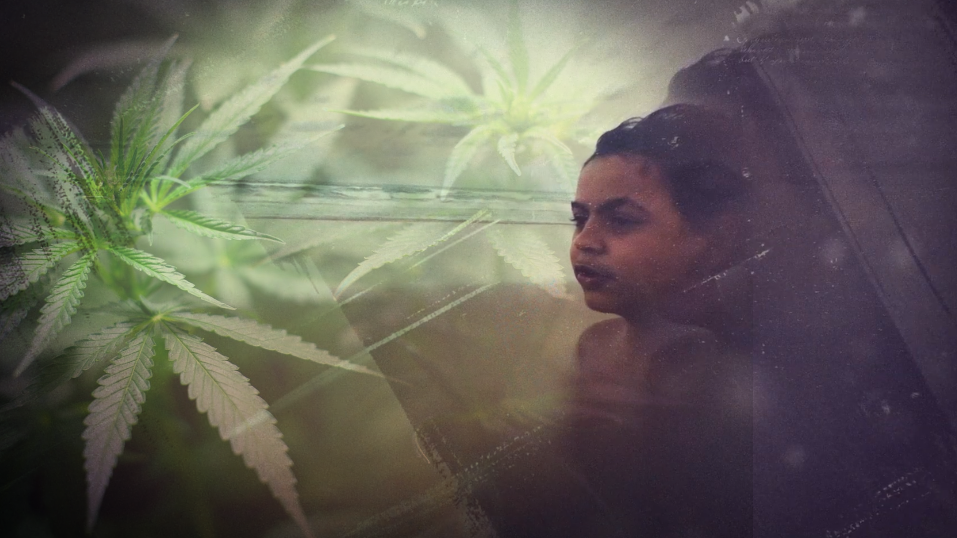 Autismo e Cannabis Medicinal: o caso do Menino Guy